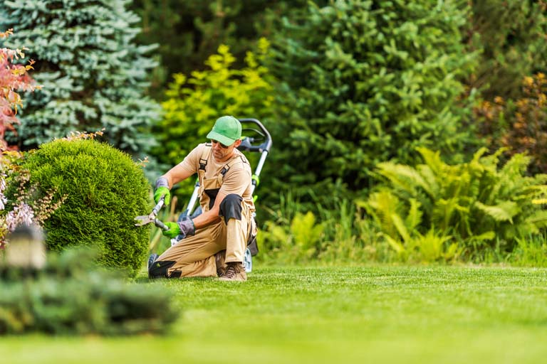 Ein Man arbeitet im gepflegten Garten.